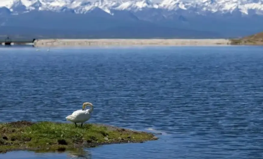 bitpie钱包市场分析工具的使用技巧,帮助用户在复杂市场中作出明智决策。_bitpie钱包市场分析工具的使用技巧,帮助用户在复杂市场中作出明智决策。_钱包的市场规模