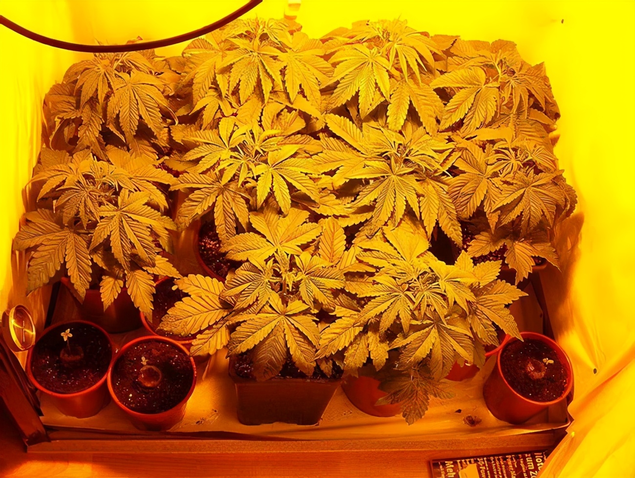 交易速度最快的期货公司_量化交易速度_交易速度快：