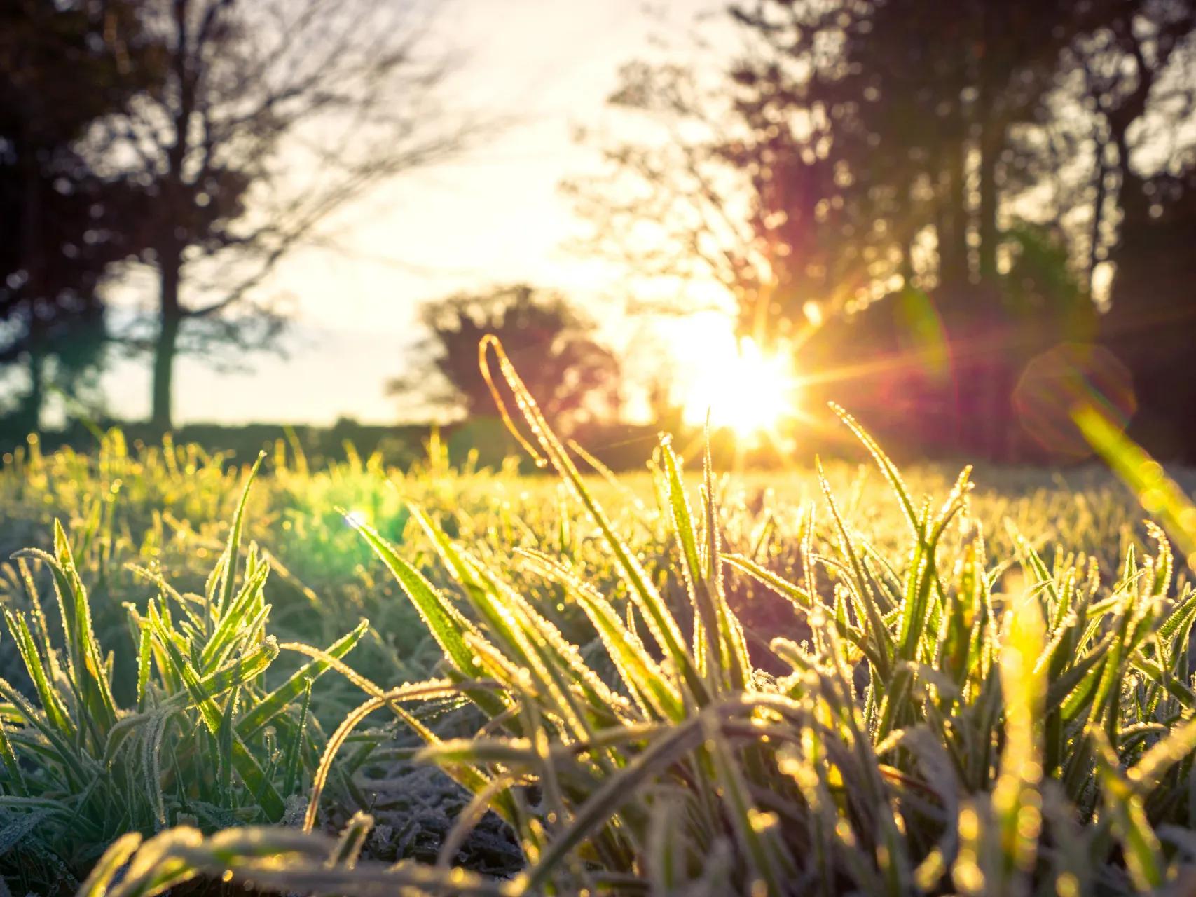 成长蜕变的励志的例子_蜕变人生经历_人生的转折点:成长与蜕变