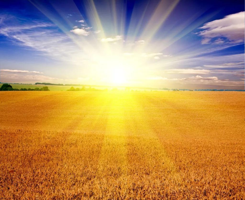 蜕变人生经历_成长蜕变的励志的例子_人生的转折点:成长与蜕变