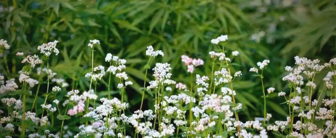 数字投资平台_分析数字资产对普通投资者的吸引力：生活中如何轻松参与数字投资_怎么投资数字资产