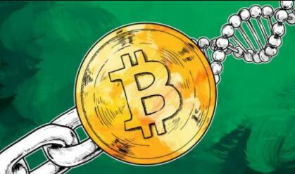 数字货币行业繁荣下支持大陆的虚拟币交易所最新排名及oyx平台分析