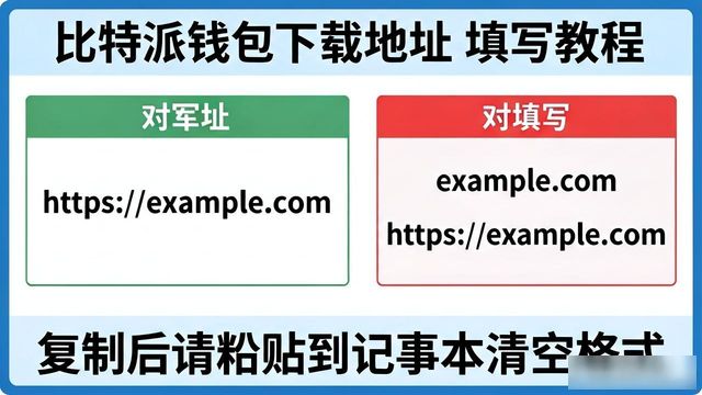 如何在比特派钱包中正确输入下载地址_bitpie比特派钱包_比特派钱包